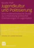 Jugendkultur und Politisierung (eBook, PDF)