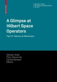 A Glimpse at Hilbert Space Operators (eBook, PDF)