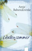 Libellensommer (eBook, ePUB)