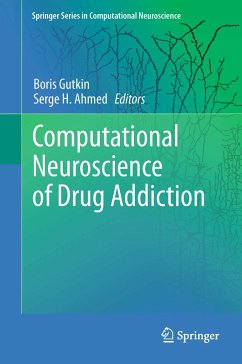 Computational Neuroscience of Drug Addiction (eBook, PDF)