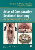 Atlas of Comparative Sectional Anatomy of 6 invertebrates and 5 vertebrates (eBook, PDF)