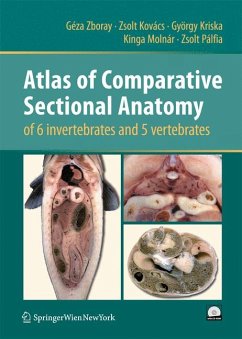 Atlas of Comparative Sectional Anatomy of 6 invertebrates and 5 vertebrates (eBook, PDF) - Zboray, Géza; Kovács, Zsolt; Kriska, György; Molnár, Kinga; Pálfia, Zsolt