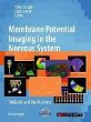 Membrane Potential Imaging in the... - Bild 1