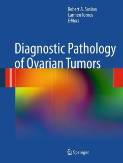 Cover Diagnostic Pathology of Ovarian Tumors (eBook, PDF)