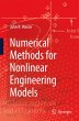 Numerical Methods for Nonlinear... - Bild 1