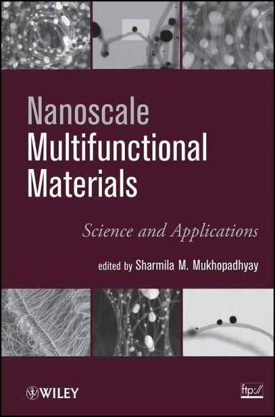 Nanoscale Multifunctional Materials (eBook, PDF)