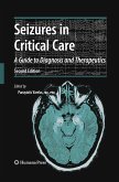 Seizures in Critical Care (eBook, PDF)