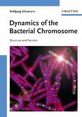 Dynamics of the Bacterial Chromosome (eBook, PDF)