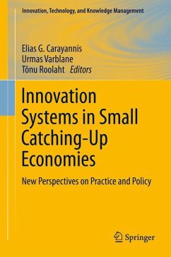 Innovation Systems in Small Catching-Up Economies (eBook, PDF)