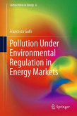 Pollution Under Environmental Regulation in Energy Markets (eBook, PDF)