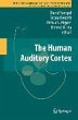 The Human Auditory Cortex (eBook, PDF) - Bild 1
