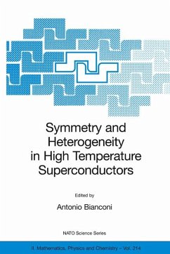 Symmetry and Heterogeneity in High Temperature Superconductors (eBook, PDF)