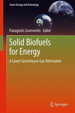 Solid Biofuels for Energy (eBook, PDF) - Grammelis, Panagiotis