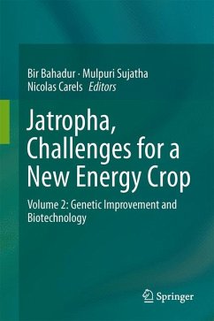 Jatropha, Challenges for a New Energy Crop (eBook, PDF)