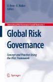 Global Risk Governance (eBook, PDF)