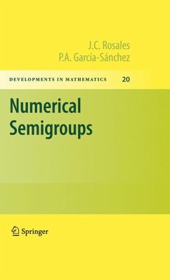 Numerical Semigroups (eBook, PDF) - Rosales, J.C.; García-Sánchez, P. A.