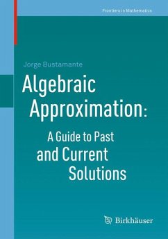 Algebraic Approximation: A Guide to Past and Current Solutions (eBook, PDF) - Bustamante, Jorge