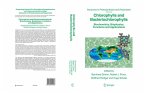 Chlorophylls and Bacteriochlorophylls (eBook, PDF)