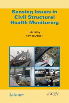 Sensing Issues in Civil Structural Health Monitoring (eBook, PDF)