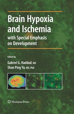 Brain Hypoxia and Ischemia (eBook, PDF)