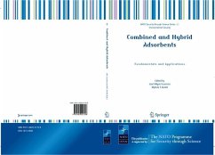 Combined and Hybrid Adsorbents (eBook, PDF)