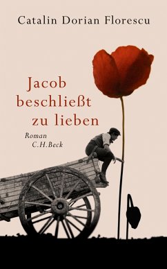 Jacob beschließt zu lieben (eBook, ePUB) - Florescu, Catalin Dorian