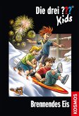 Brennendes Eis / Die drei Fragezeichen-Kids Bd.40 (eBook, ePUB)