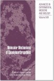 Molecular Mechanisms of Spondyloarthropathies (eBook, PDF)
