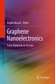 Graphene Nanoelectronics (eBook, PDF)