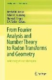 From Fourier Analysis and Number Theory to Radon Transforms and Geometry (eBook, PDF)