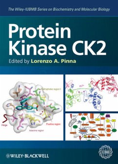 Protein Kinase CK2 (eBook, ePUB) - Pinna, Lorenzo A.