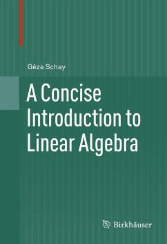 A Concise Introduction to Linear Algebra (eBook, PDF) - Schay, Géza