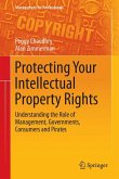 Protecting Your Intellectual Property Rights (eBook, PDF)