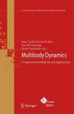 Multibody Dynamics (eBook, PDF)