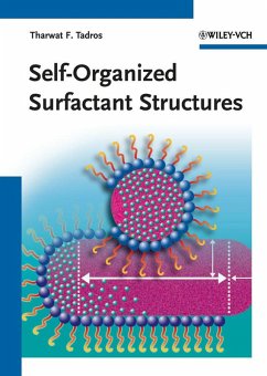 Self-Organized Surfactant Structures (eBook, PDF)