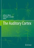 The Auditory Cortex (eBook, PDF)