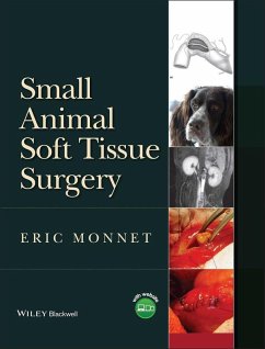 Small Animal Soft Tissue Surgery (eBook, PDF)