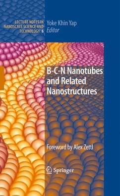 B-C-N Nanotubes and Related Nanostructures (eBook, PDF)