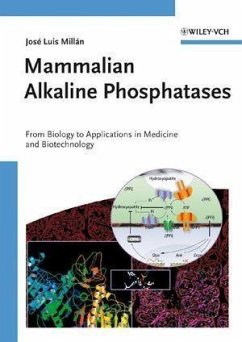 Mammalian Alkaline Phosphatases (eBook, PDF) - Millan, José Luis