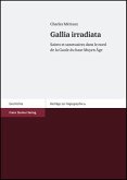 Gallia irradiata (eBook, PDF)