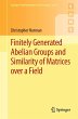Finitely Generated Abelian Groups and... - Bild 1