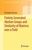 Finitely Generated Abelian Groups and Similarity of Matrices over a Field (eBook, PDF)