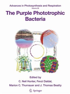 The Purple Phototrophic Bacteria (eBook, PDF)