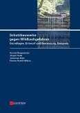 Schutzbauwerke gegen Wildbachgefahren (eBook, PDF)