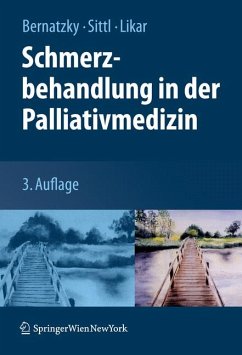 Schmerzbehandlung in der Palliativmedizin (eBook, PDF)
