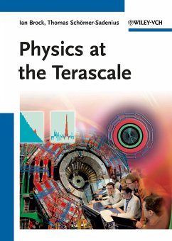 Physics at the Terascale (eBook, PDF)