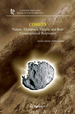 Comets (eBook, PDF) - Fernandez, Julio A.