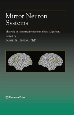 Mirror Neuron Systems (eBook, PDF)