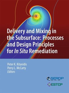 Delivery and Mixing in the Subsurface (eBook, PDF)