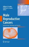 Male Reproductive Cancers (eBook, PDF)